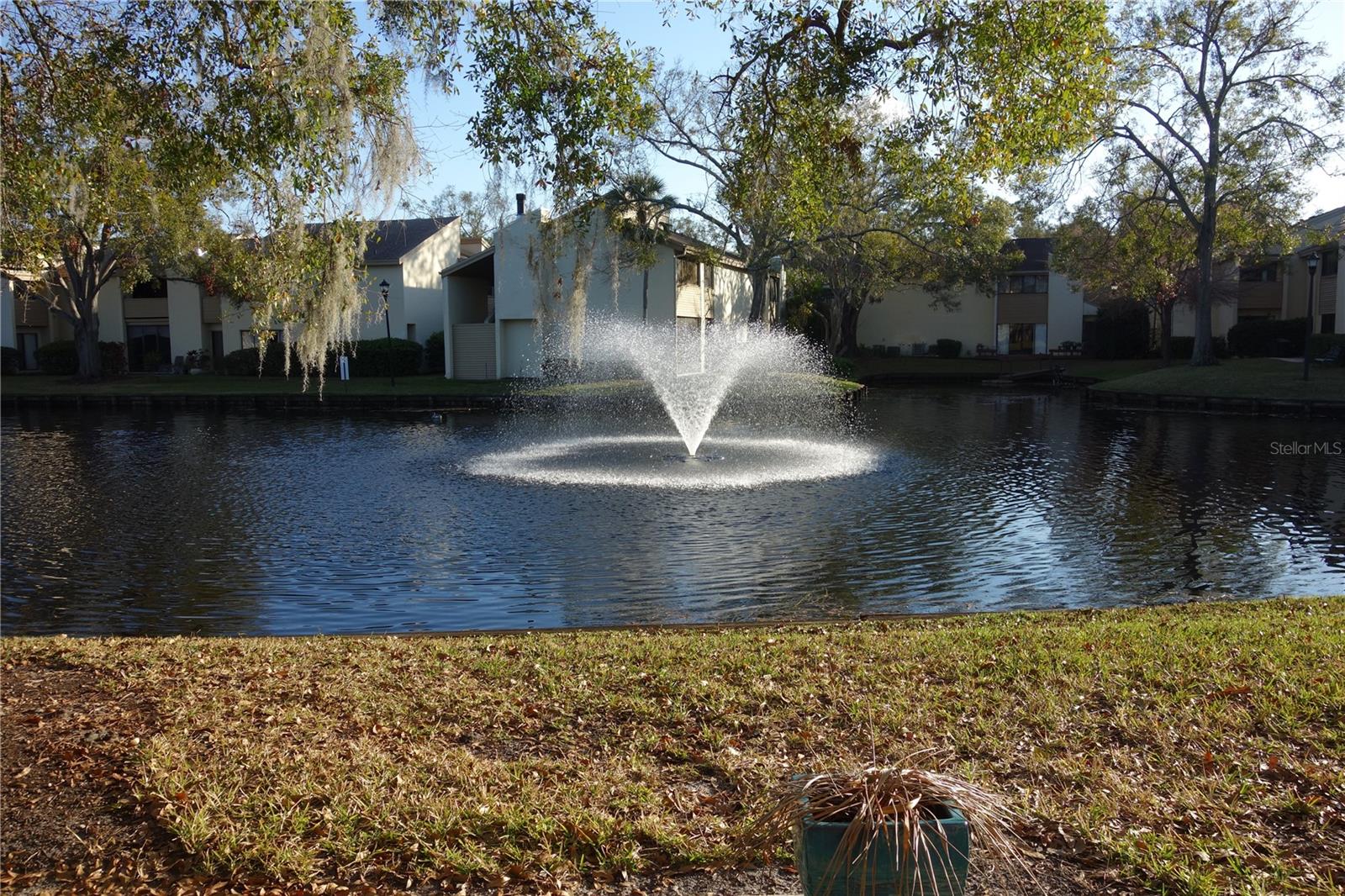 4108 PINELAKE LN #102, TAMPA, FL, 33618