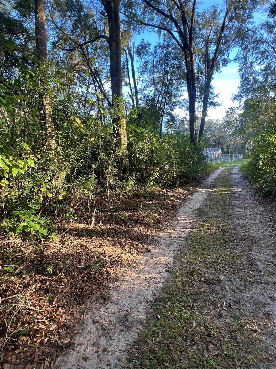NW 38TH AVE, REDDICK, FL, 32686