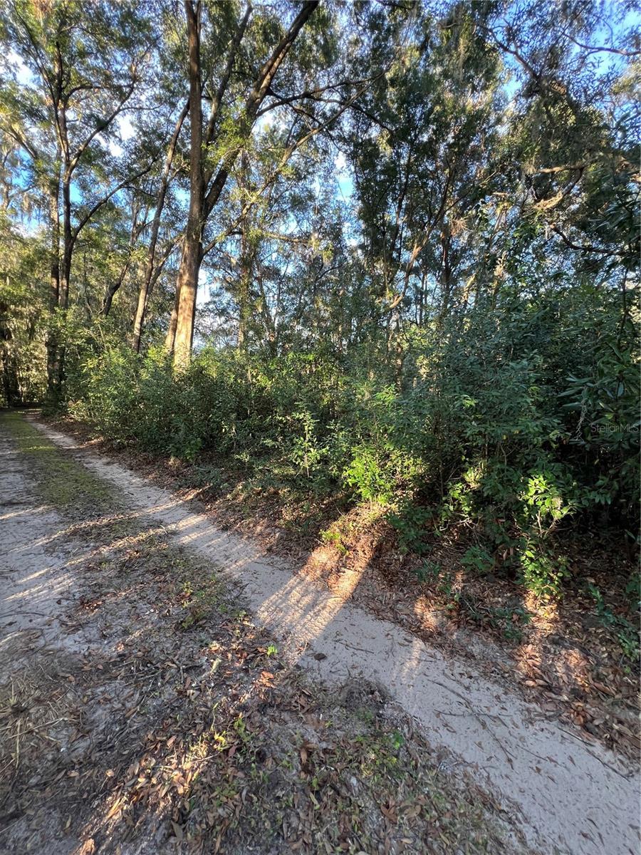 NW 38TH AVE, REDDICK, FL, 32686
