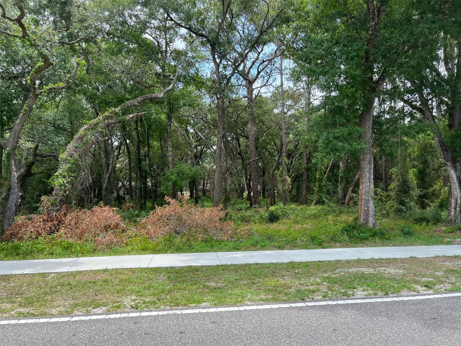 12120 HICKS RD, HUDSON, FL, 34669