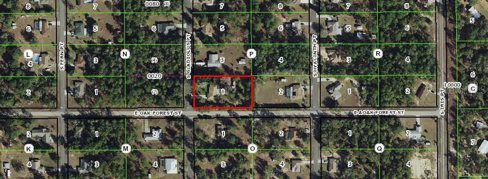 12355 S GLADIOLUS PT, FLORAL CITY, FL, 34436