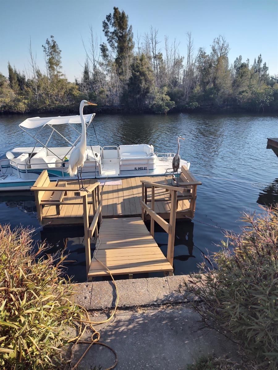 6330 TOWER DR, HUDSON, FL, 34667