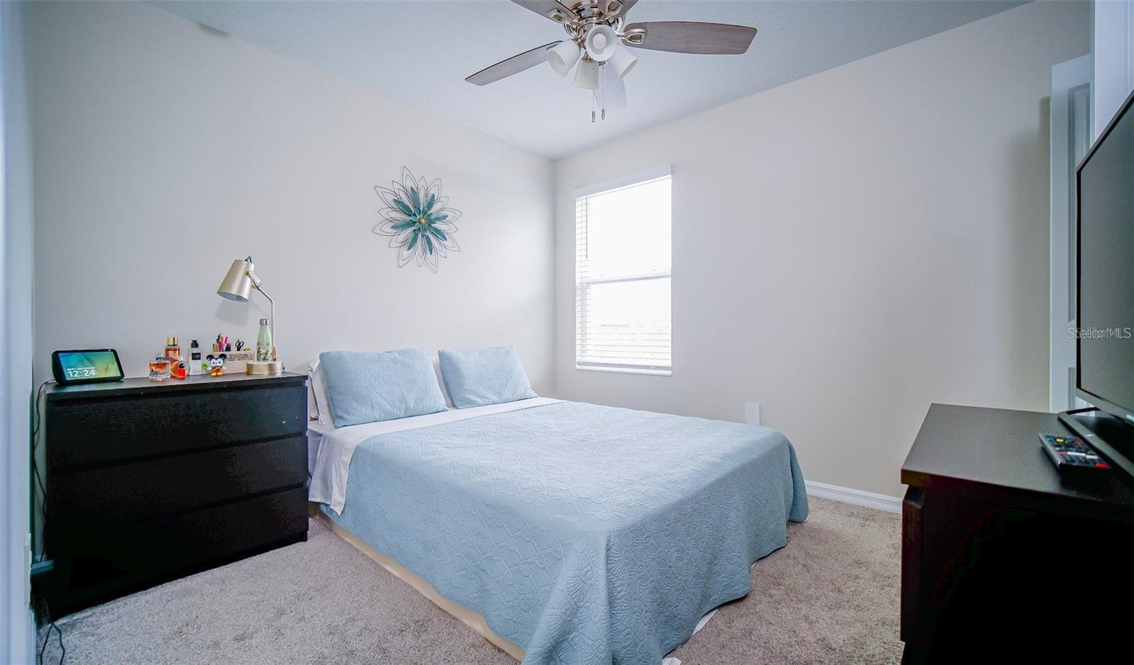 2948 MULLER OAK LOOP, OCOEE, FL, 34761