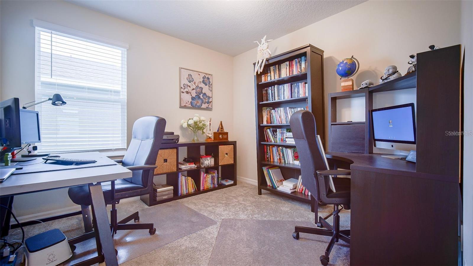 2948 MULLER OAK LOOP, OCOEE, FL, 34761