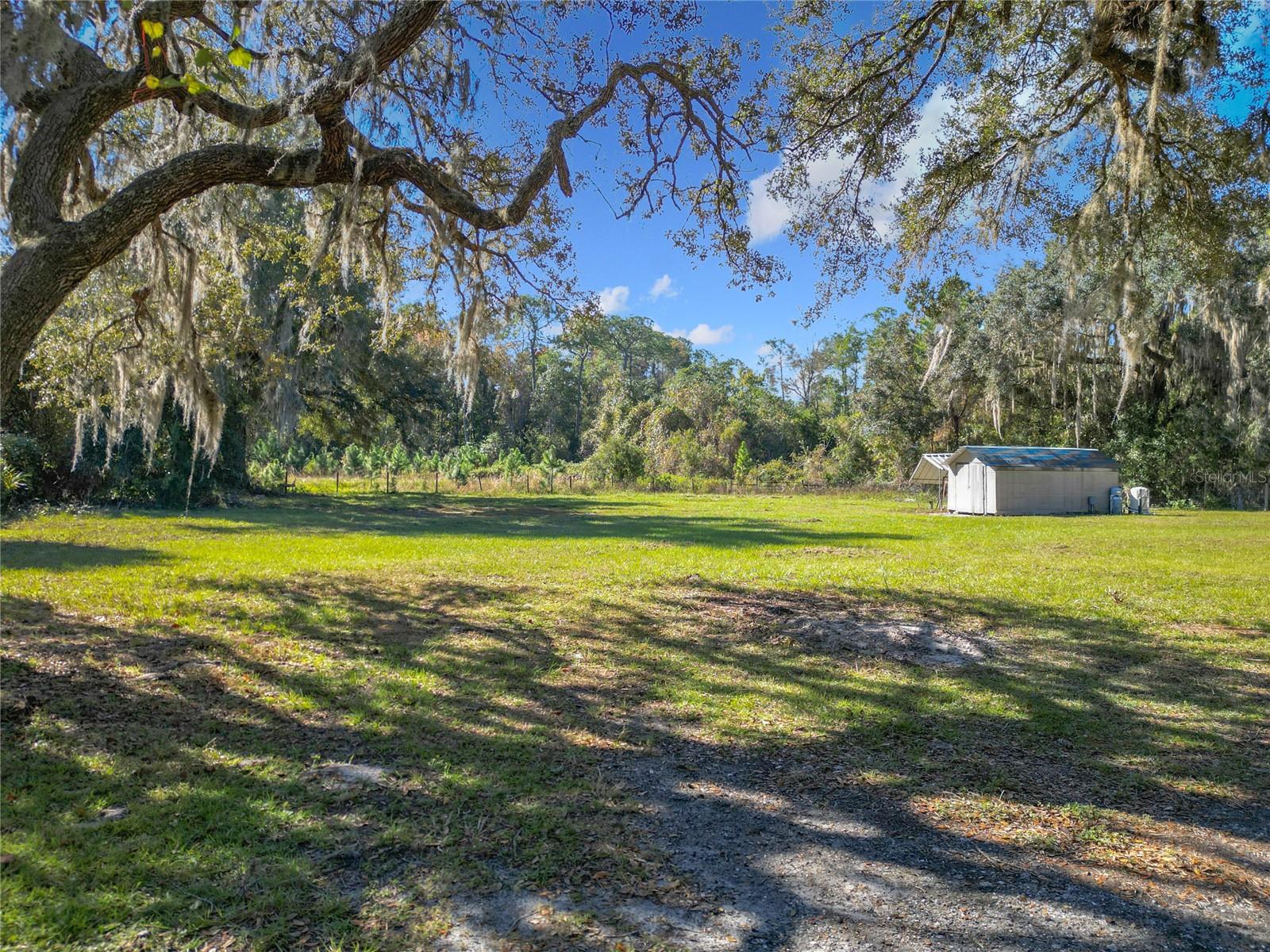6820 NE 199TH STREET RD, CITRA, FL, 32113