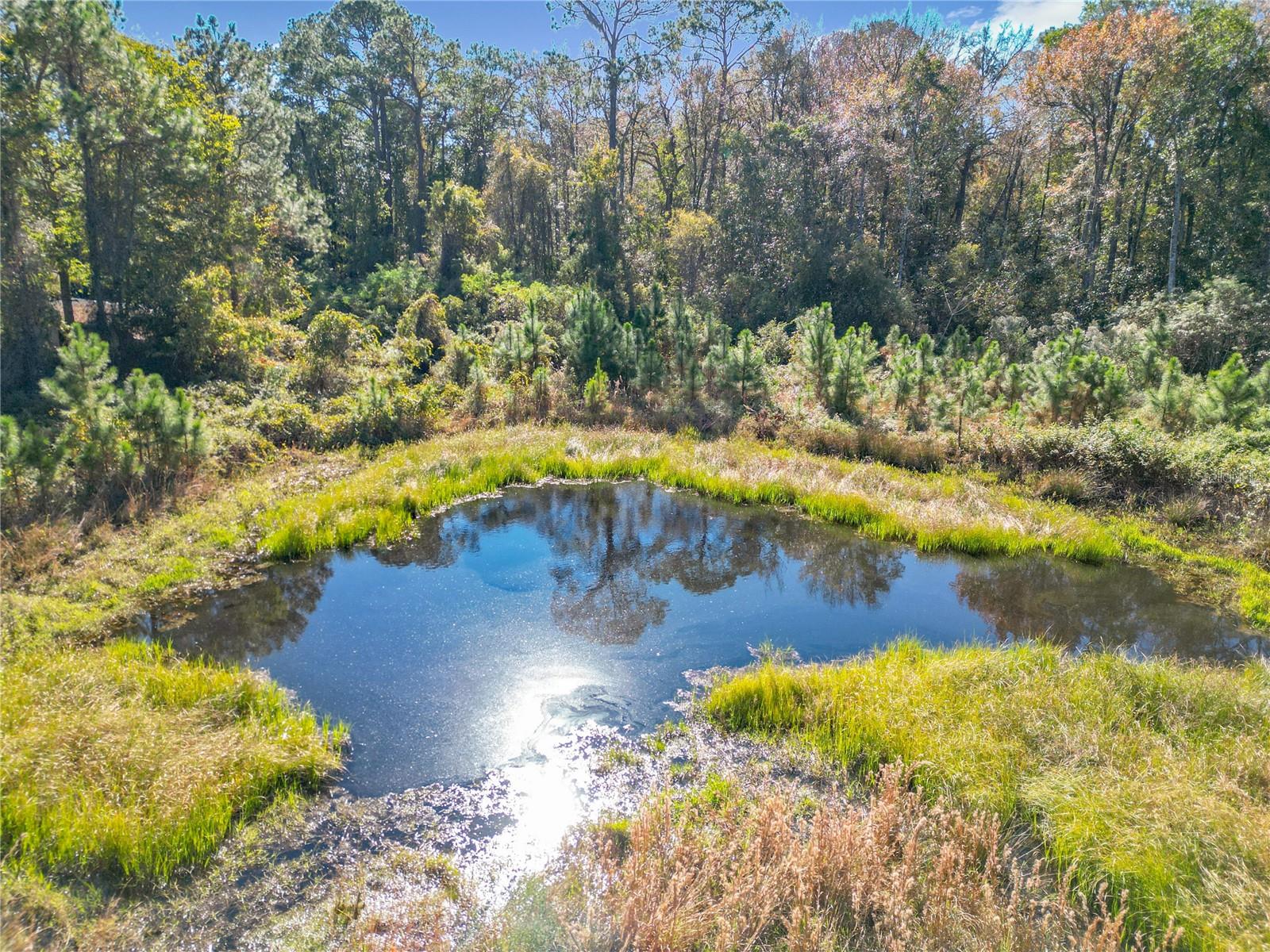 6820 NE 199TH STREET RD, CITRA, FL, 32113