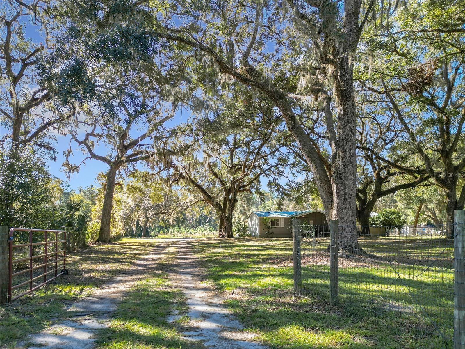 6820 NE 199TH STREET RD, CITRA, FL, 32113