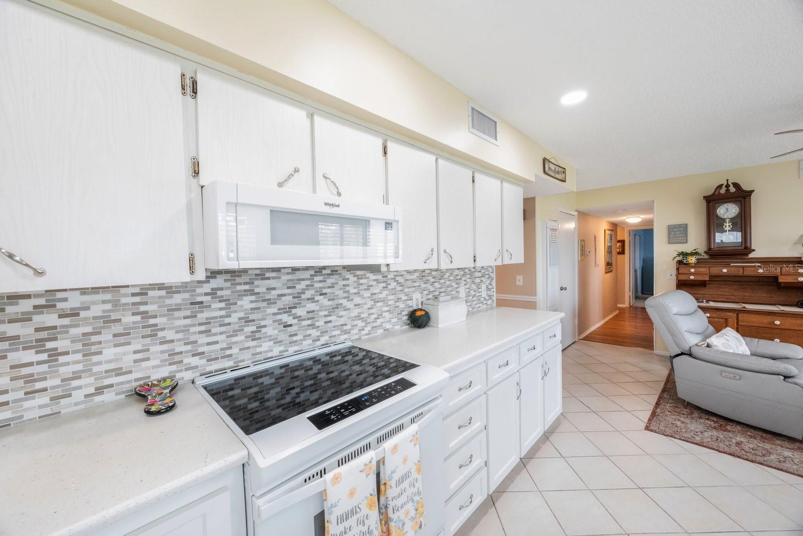 2221 SWEDISH DR #55, CLEARWATER, FL, 33763