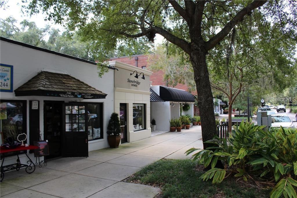 98 E 10TH AVE, WINDERMERE, FL, 34786
