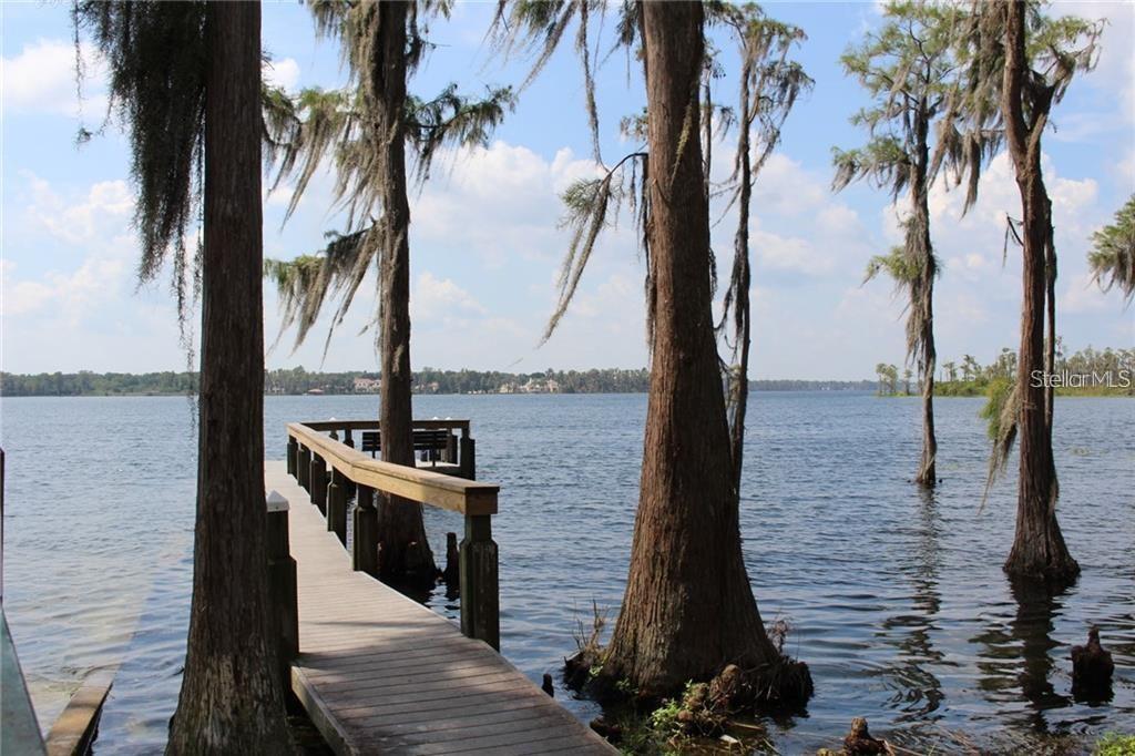 98 E 10TH AVE, WINDERMERE, FL, 34786
