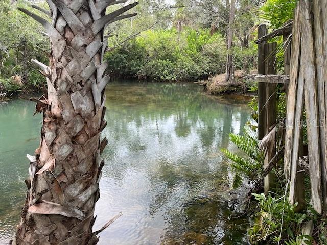 6176 ISLAND DR, WEEKI WACHEE, FL, 34607
