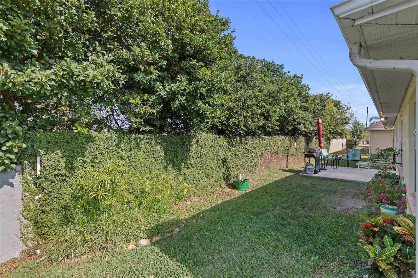 17068 SE 115TH TERRACE RD, SUMMERFIELD, FL, 34491