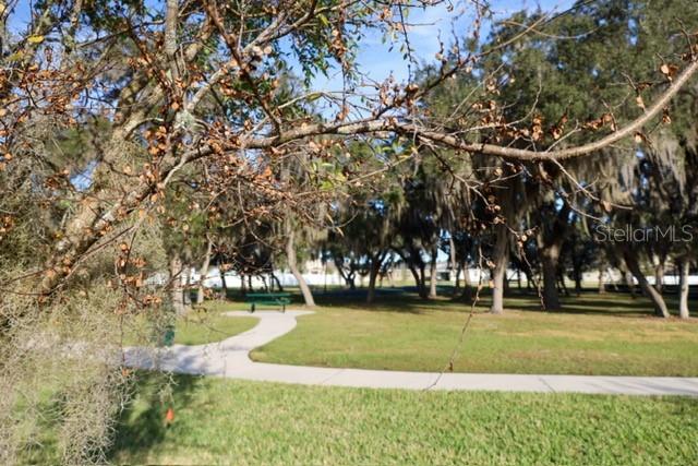11071 LONGLEAF WOODS DR, ORLANDO, FL, 32832