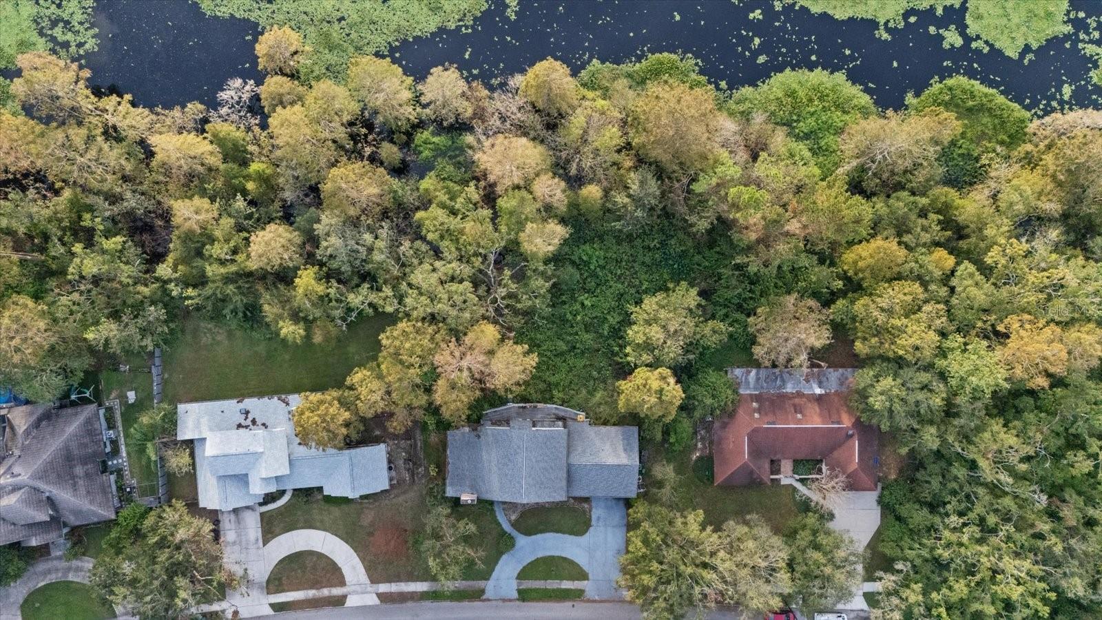 223 S RIVERHILLS DR, TEMPLE TERRACE, FL, 33617