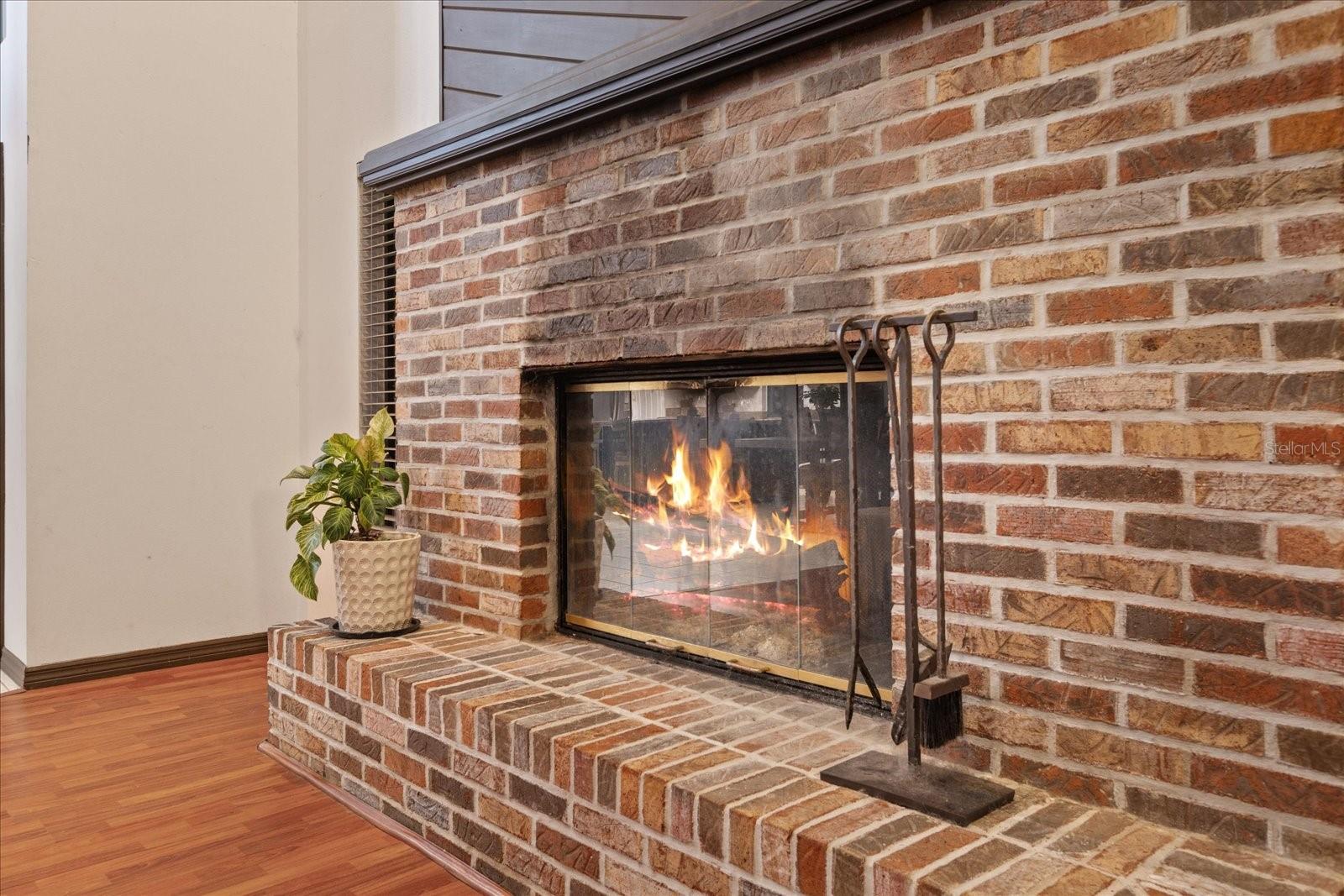 223 S RIVERHILLS DR, TEMPLE TERRACE, FL, 33617