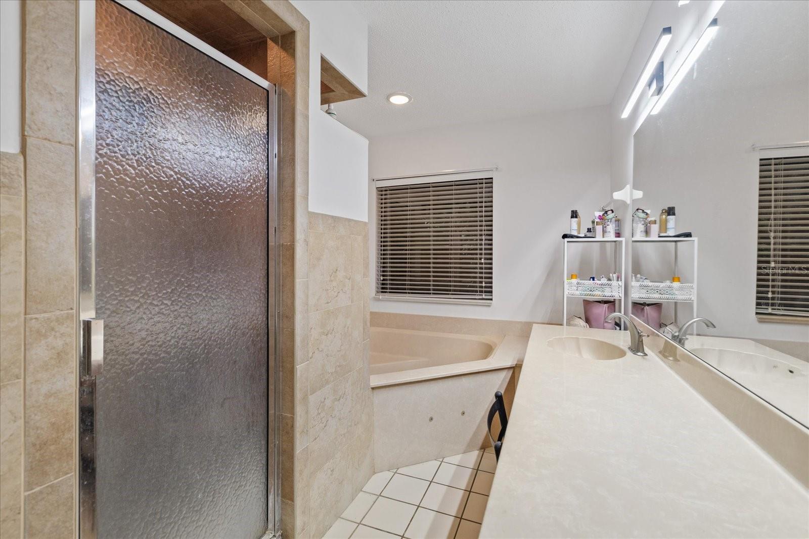 223 S RIVERHILLS DR, TEMPLE TERRACE, FL, 33617