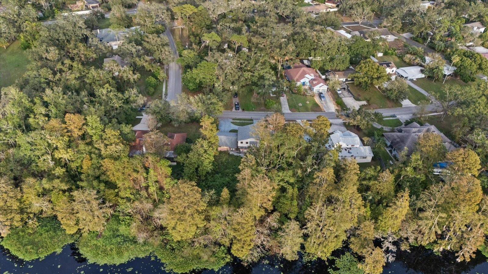 223 S RIVERHILLS DR, TEMPLE TERRACE, FL, 33617