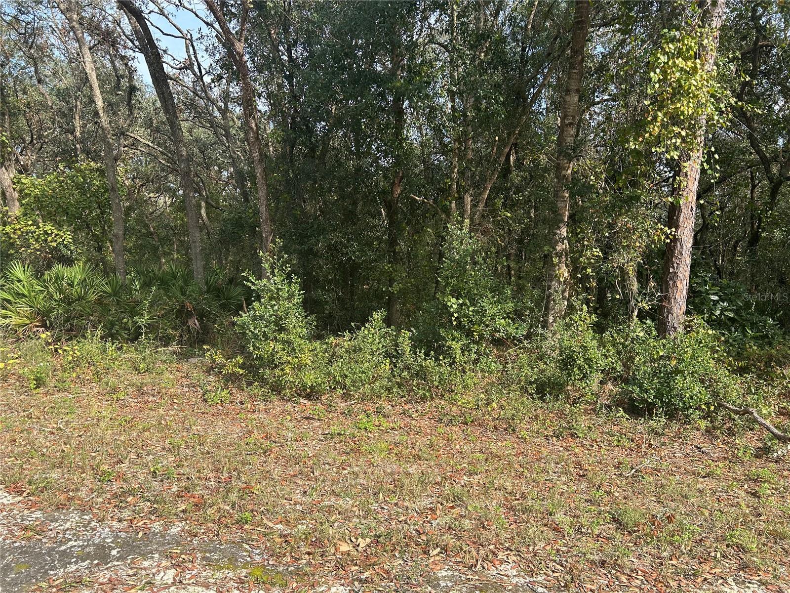 9114 REALSTONE DR, WEBSTER, FL, 33597