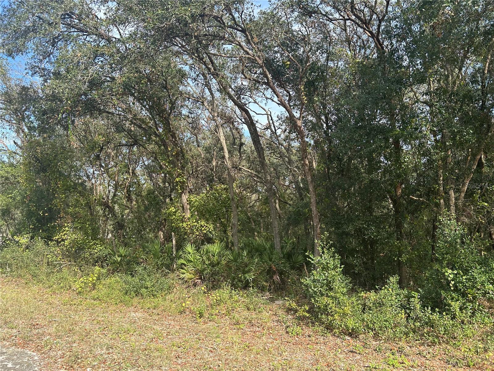 9114 REALSTONE DR, WEBSTER, FL, 33597