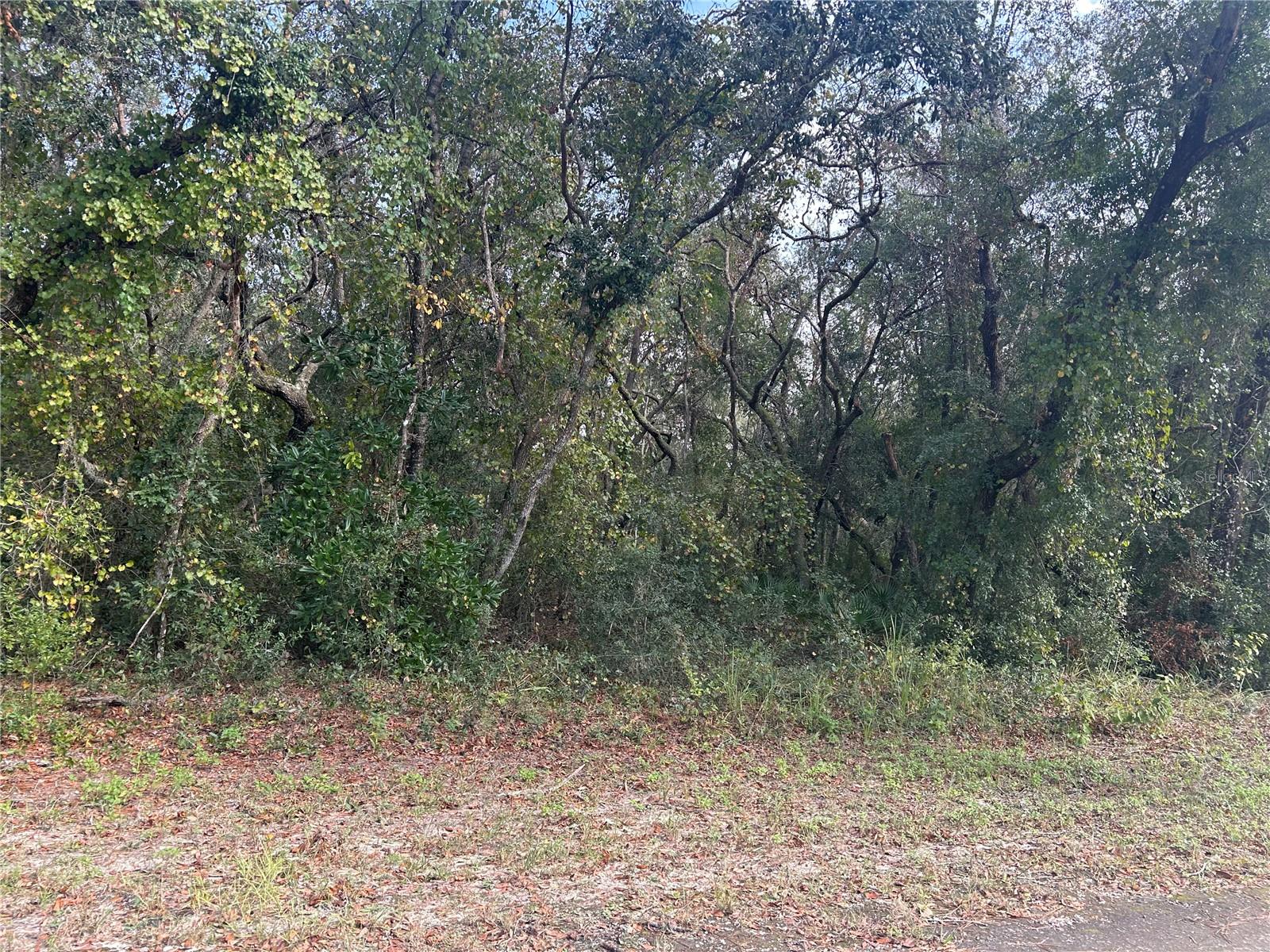 9114 REALSTONE DR, WEBSTER, FL, 33597