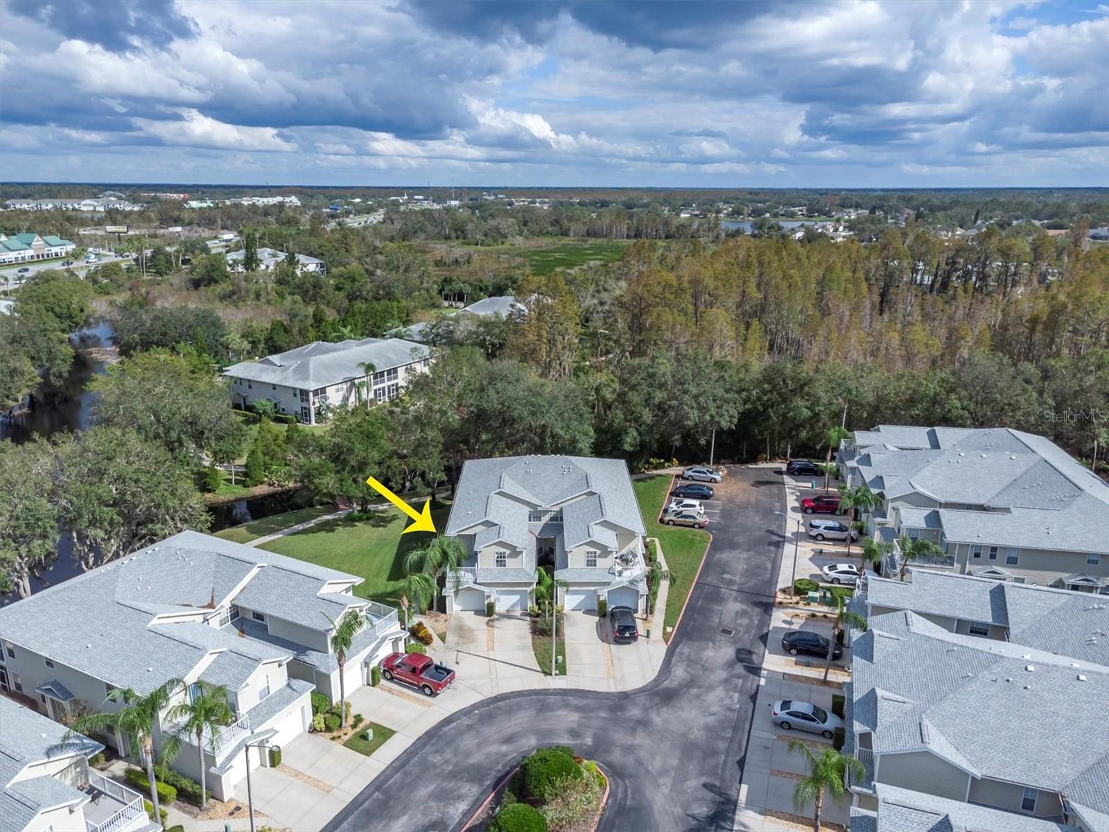 1642 HAMMOCKS AVE #2001, LUTZ, FL, 33549