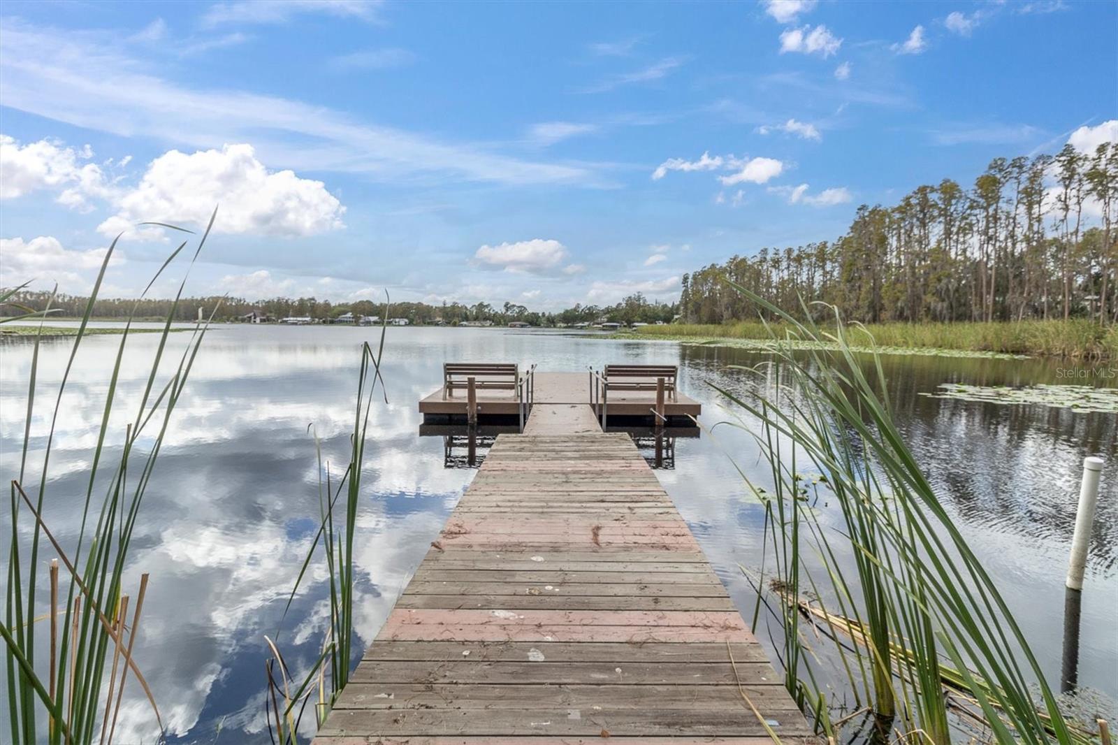 1642 HAMMOCKS AVE #2001, LUTZ, FL, 33549