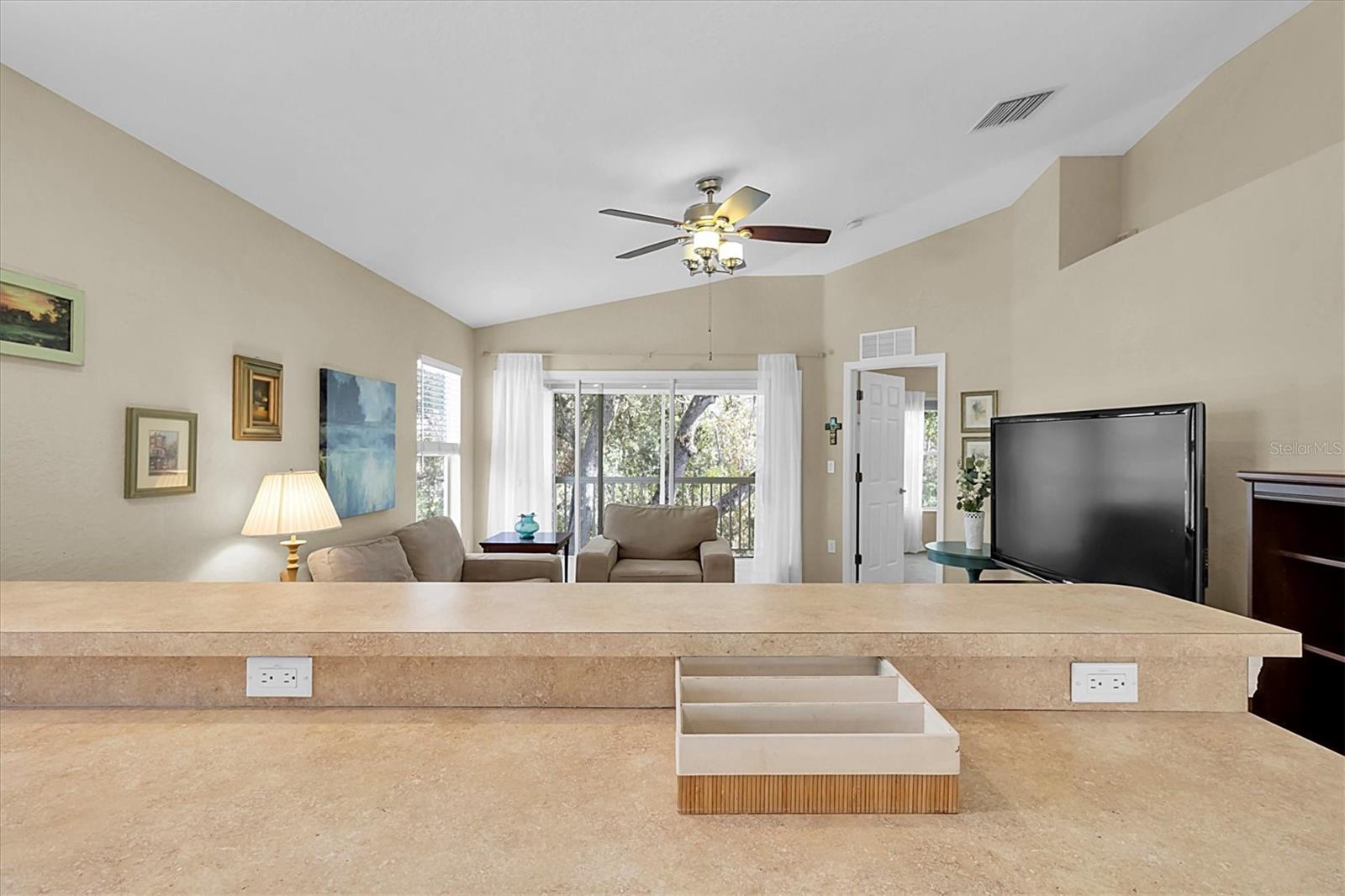 1642 HAMMOCKS AVE #2001, LUTZ, FL, 33549