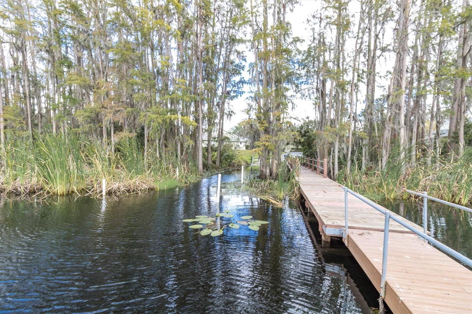 1642 HAMMOCKS AVE #2001, LUTZ, FL, 33549