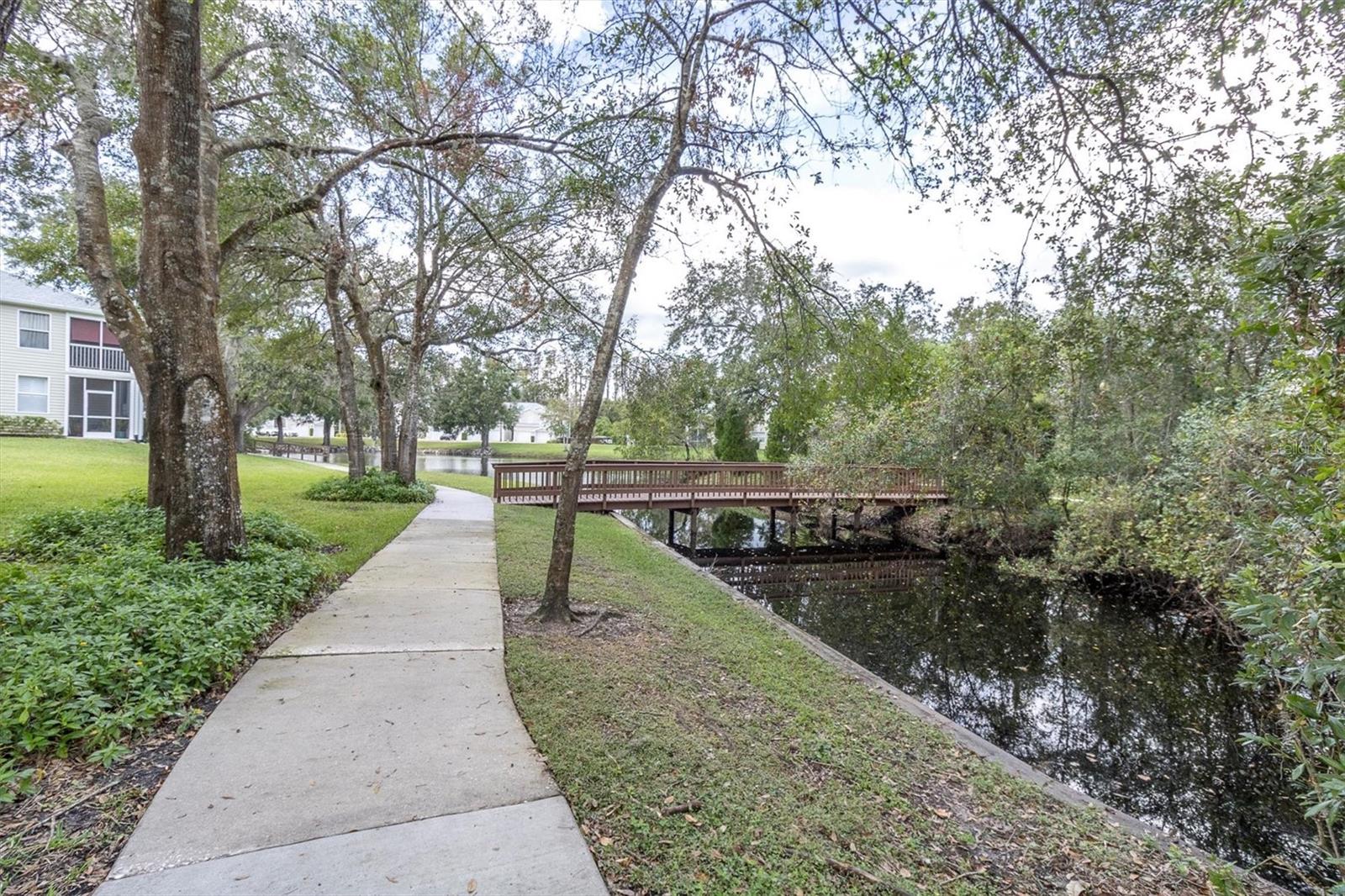 1642 HAMMOCKS AVE #2001, LUTZ, FL, 33549
