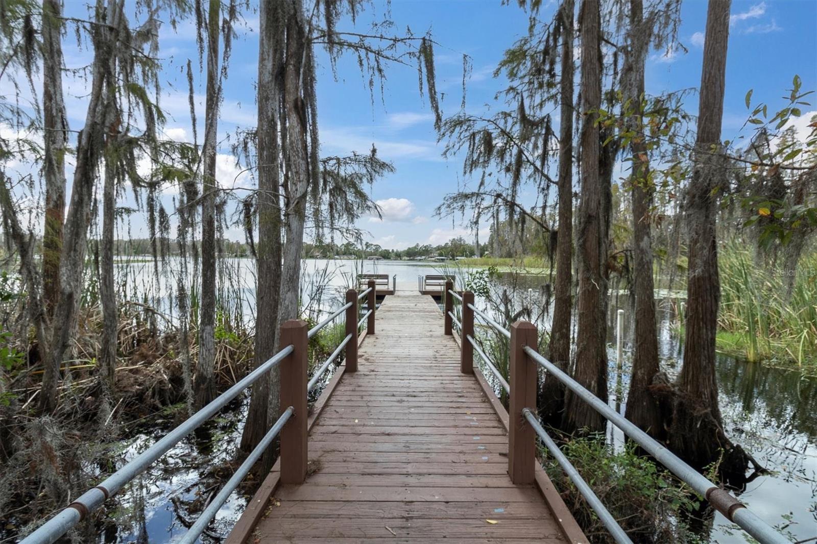 1642 HAMMOCKS AVE #2001, LUTZ, FL, 33549