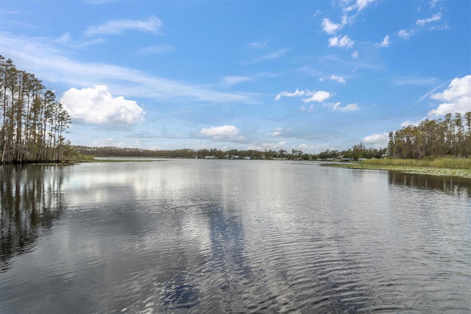 1642 HAMMOCKS AVE #2001, LUTZ, FL, 33549