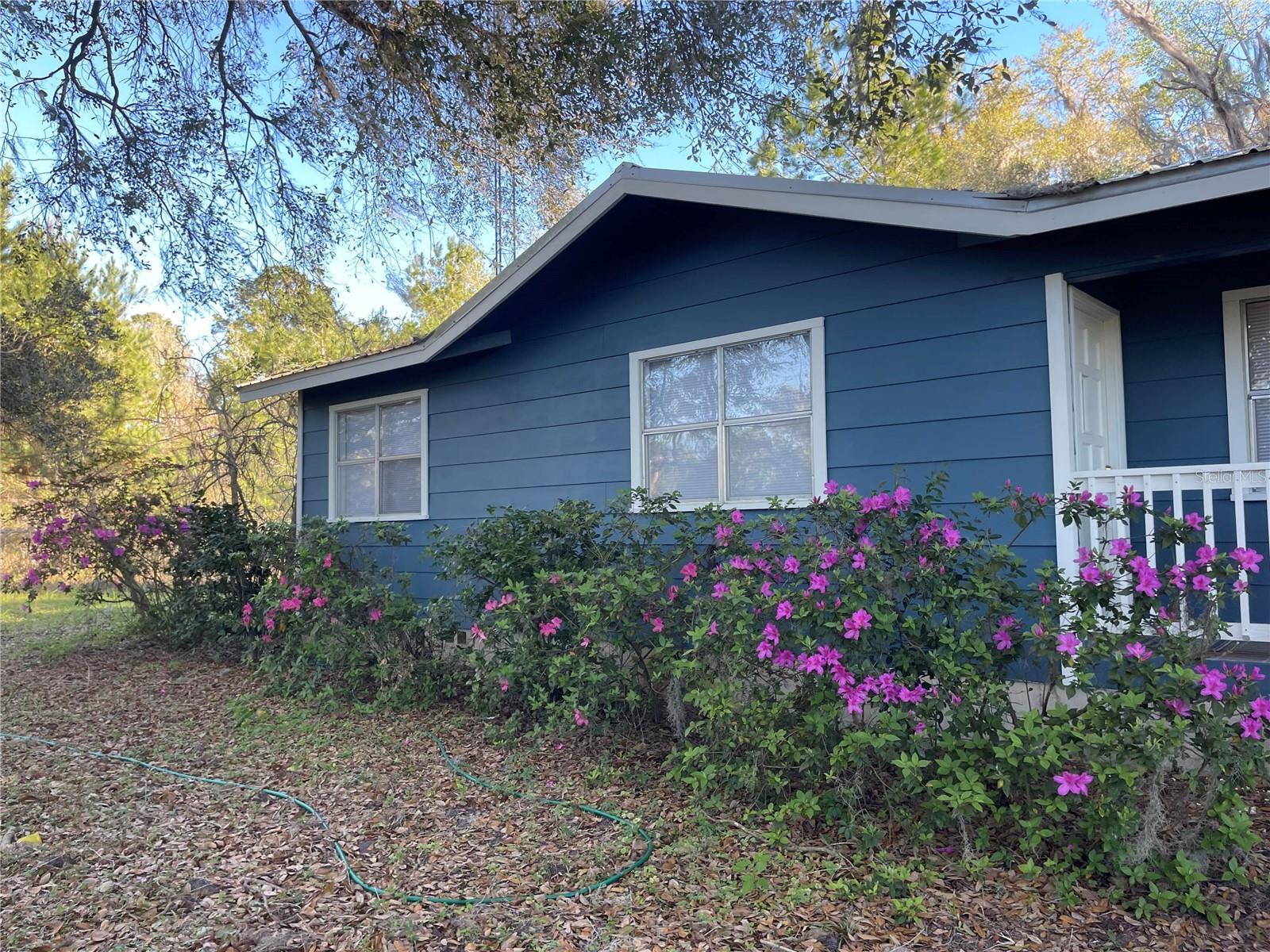 16805 HIGHWAY 441 S, MICANOPY, FL, 32667
