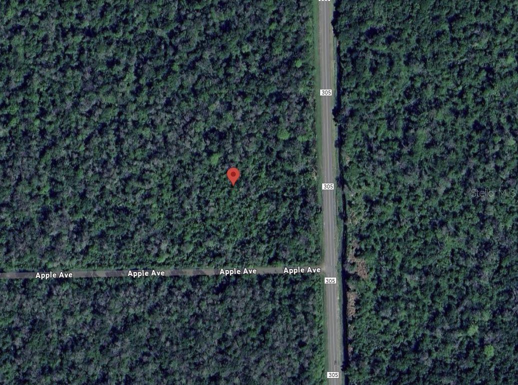 3540 APPLE AVE, BUNNELL, FL, 32110