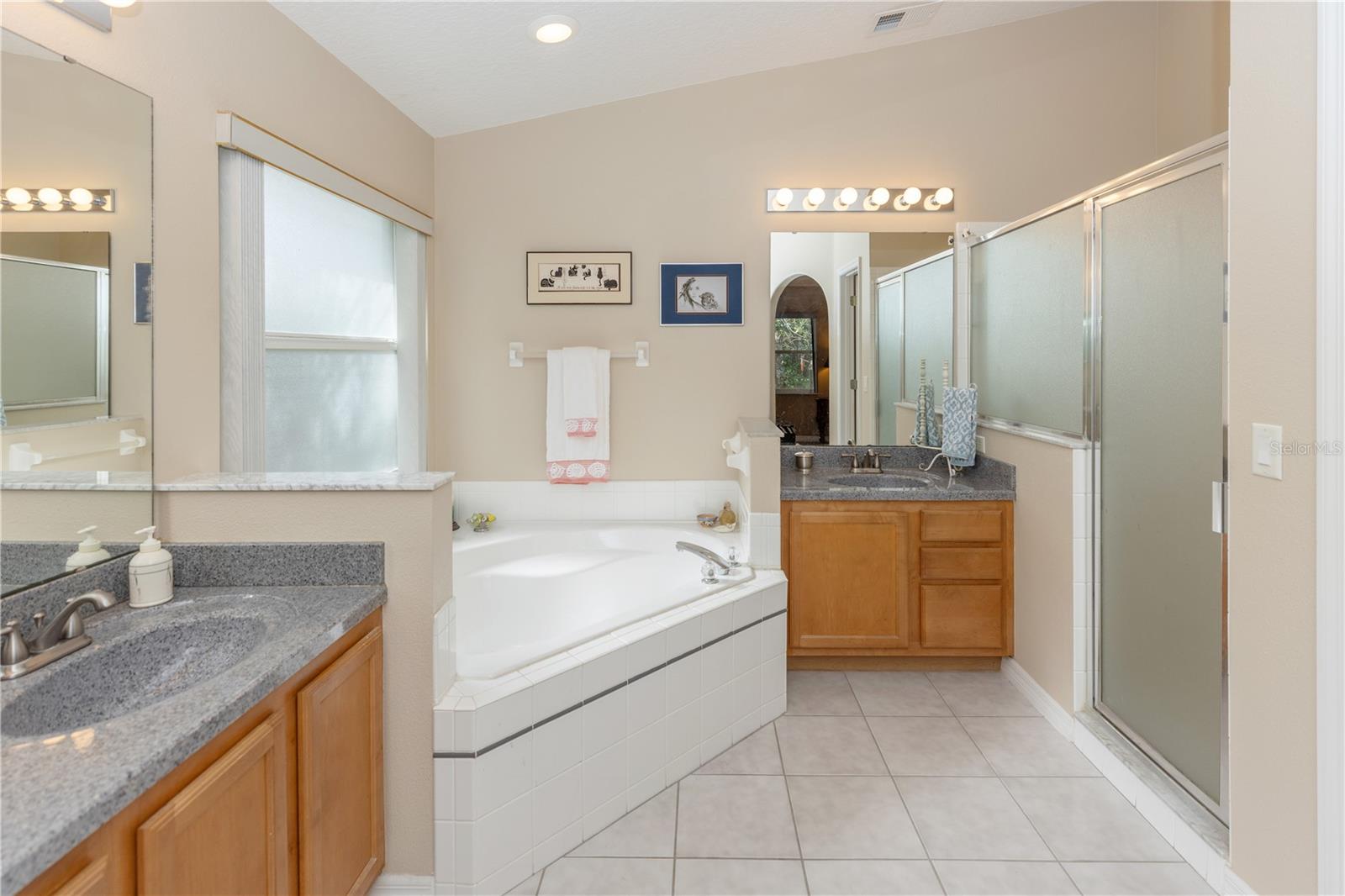 2509 GABLES DR, EUSTIS, FL, 32726