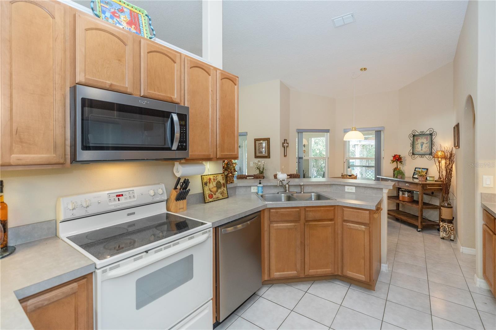 2509 GABLES DR, EUSTIS, FL, 32726