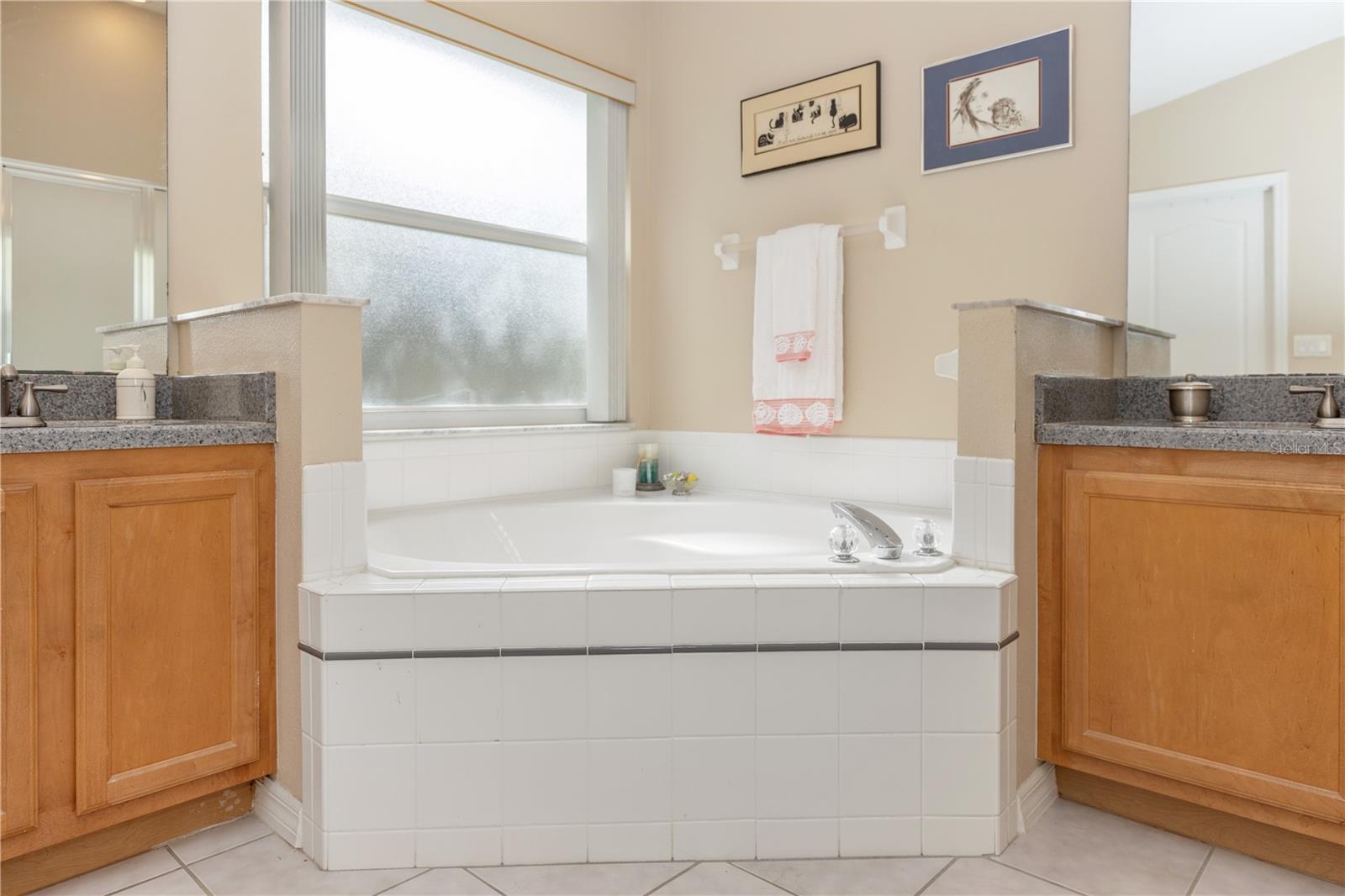 2509 GABLES DR, EUSTIS, FL, 32726