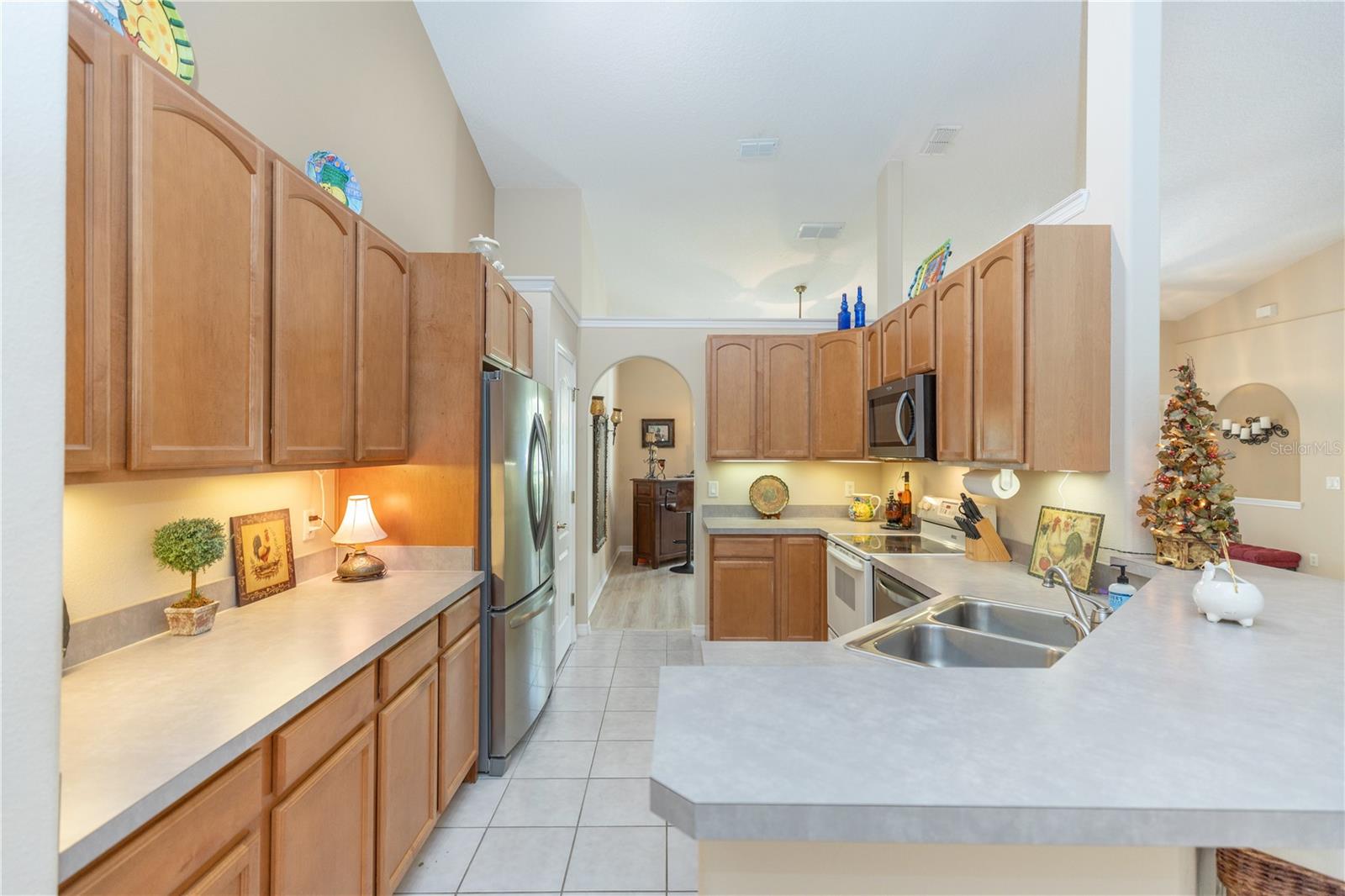 2509 GABLES DR, EUSTIS, FL, 32726