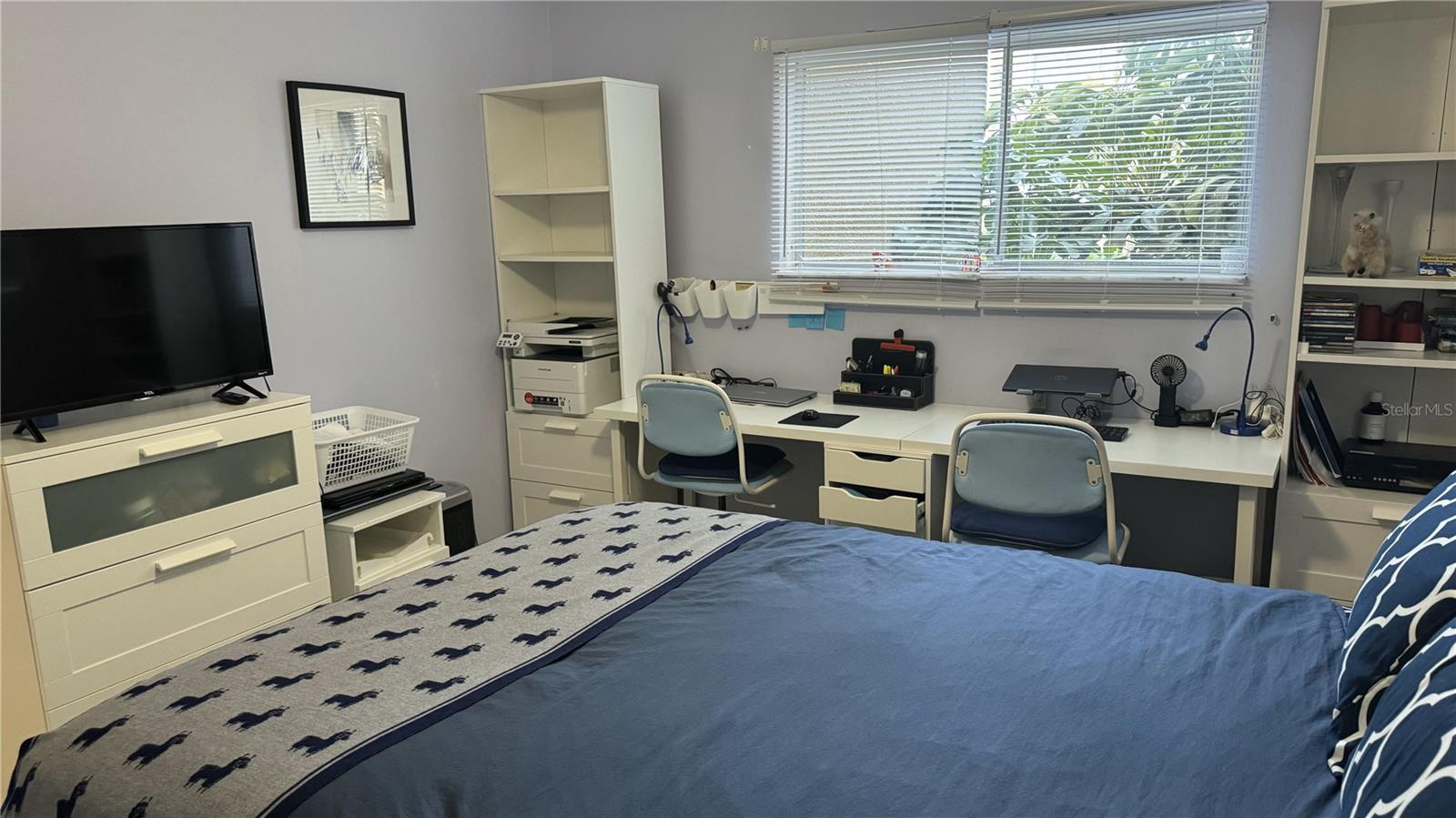 1243 S MARTIN LUTHER KING JR AVE #B205, CLEARWATER, FL, 33756