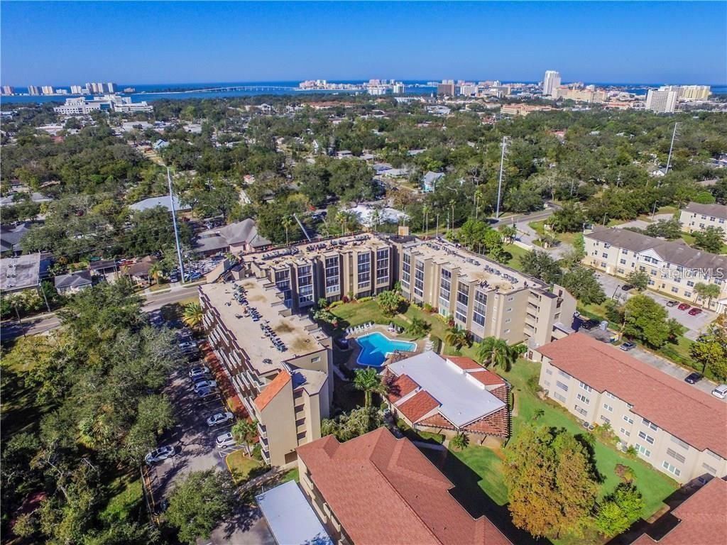 1243 S MARTIN LUTHER KING JR AVE #B205, CLEARWATER, FL, 33756