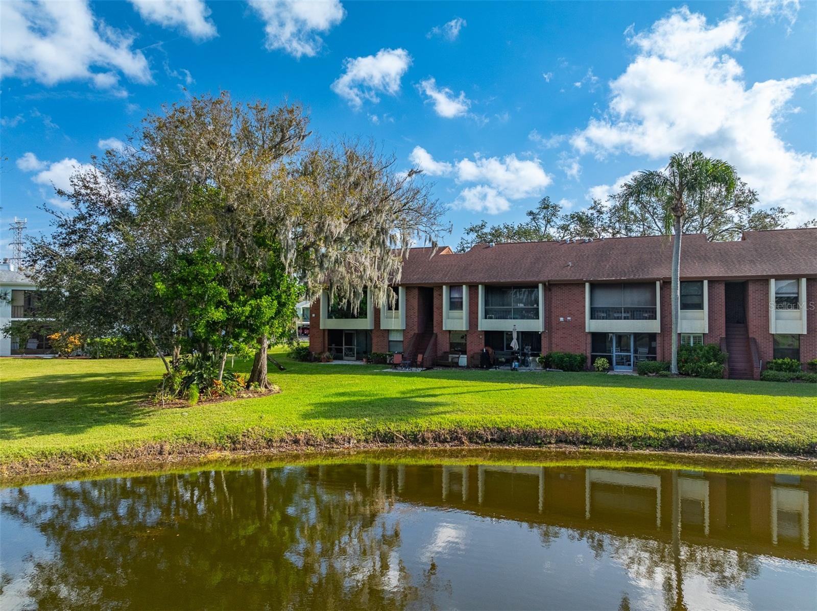 236 CARYL WAY #16, OLDSMAR, FL, 34677