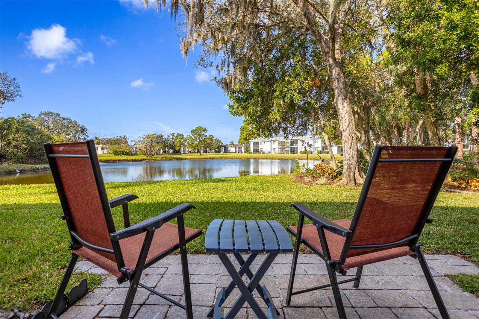 236 CARYL WAY #16, OLDSMAR, FL, 34677