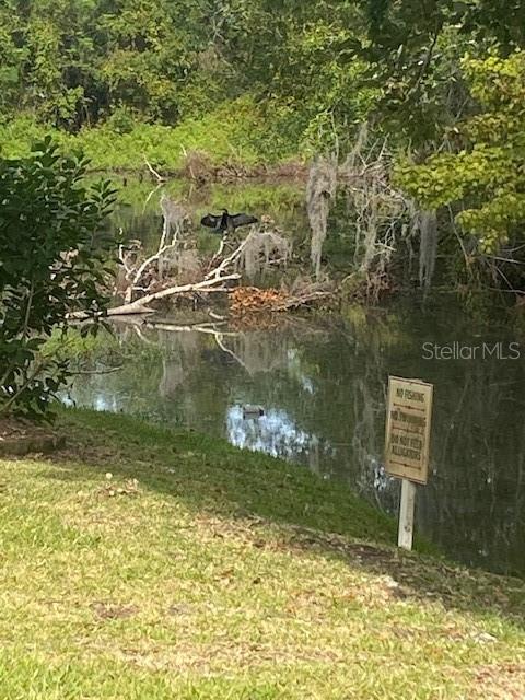 6429 REMUS DR, NEW PORT RICHEY, FL, 34653