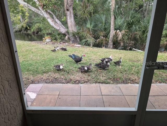 6429 REMUS DR, NEW PORT RICHEY, FL, 34653