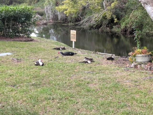 6429 REMUS DR, NEW PORT RICHEY, FL, 34653
