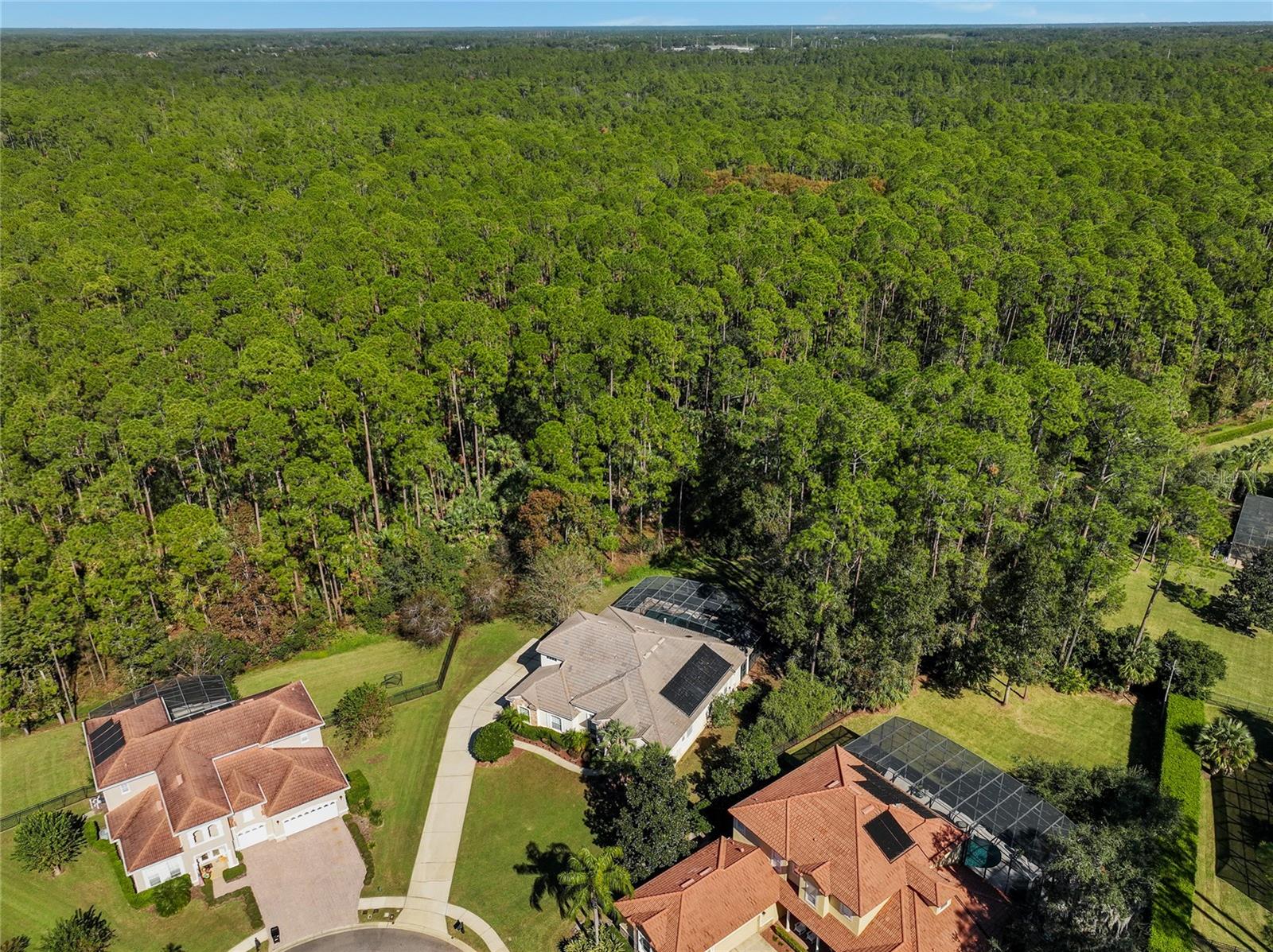 943 ELM HARBOR CT, LAKE MARY, FL, 32746
