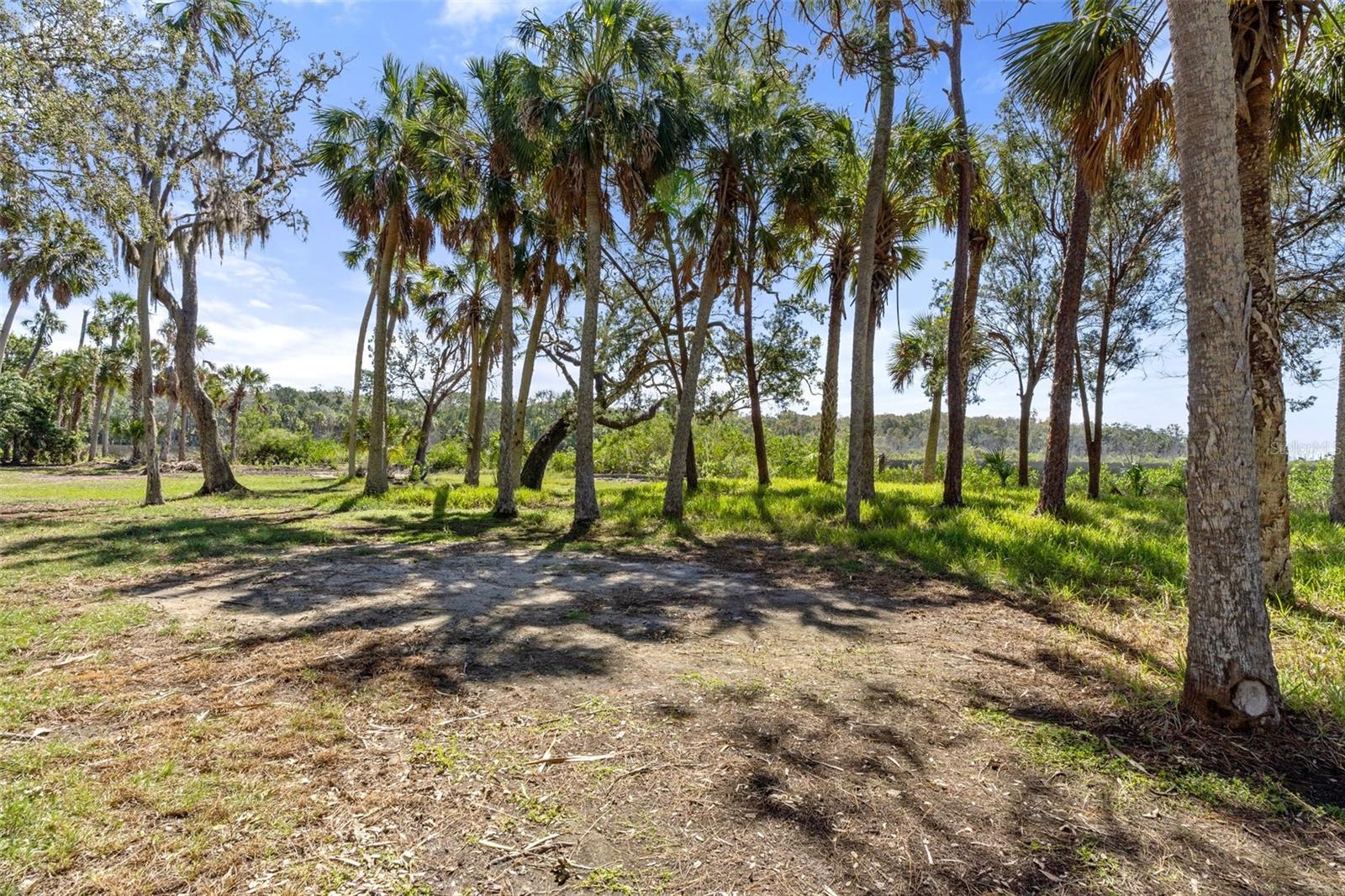 8812 CAMP LN, HUDSON, FL, 34667