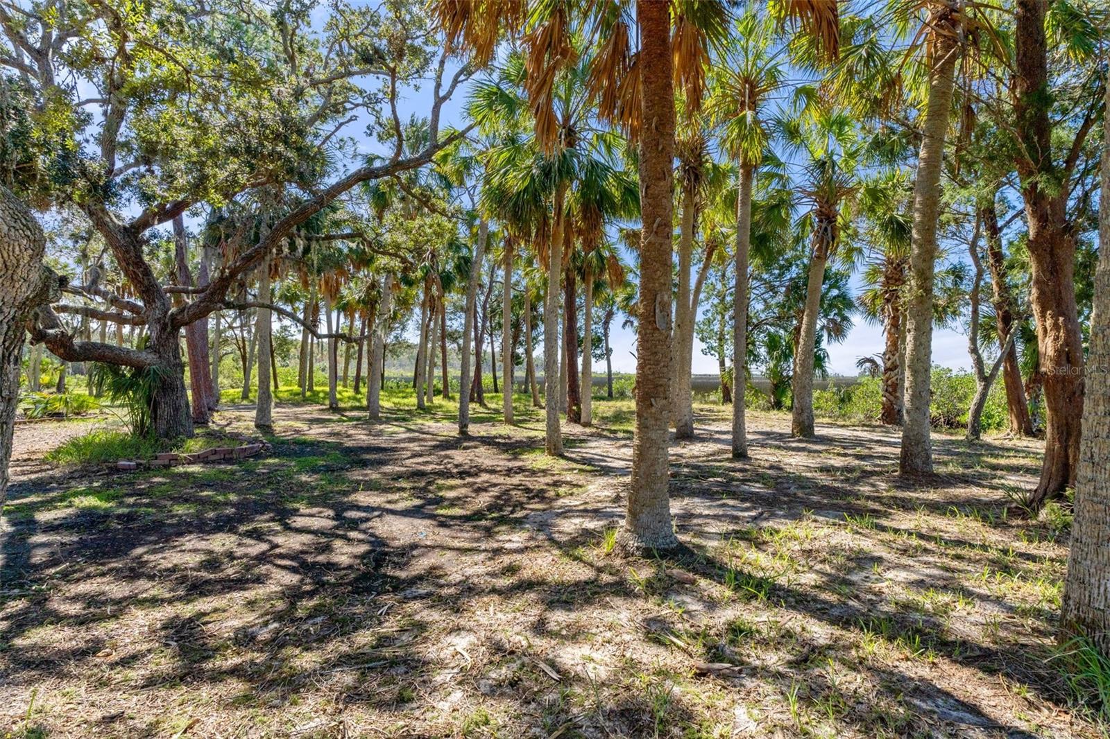 8812 CAMP LN, HUDSON, FL, 34667