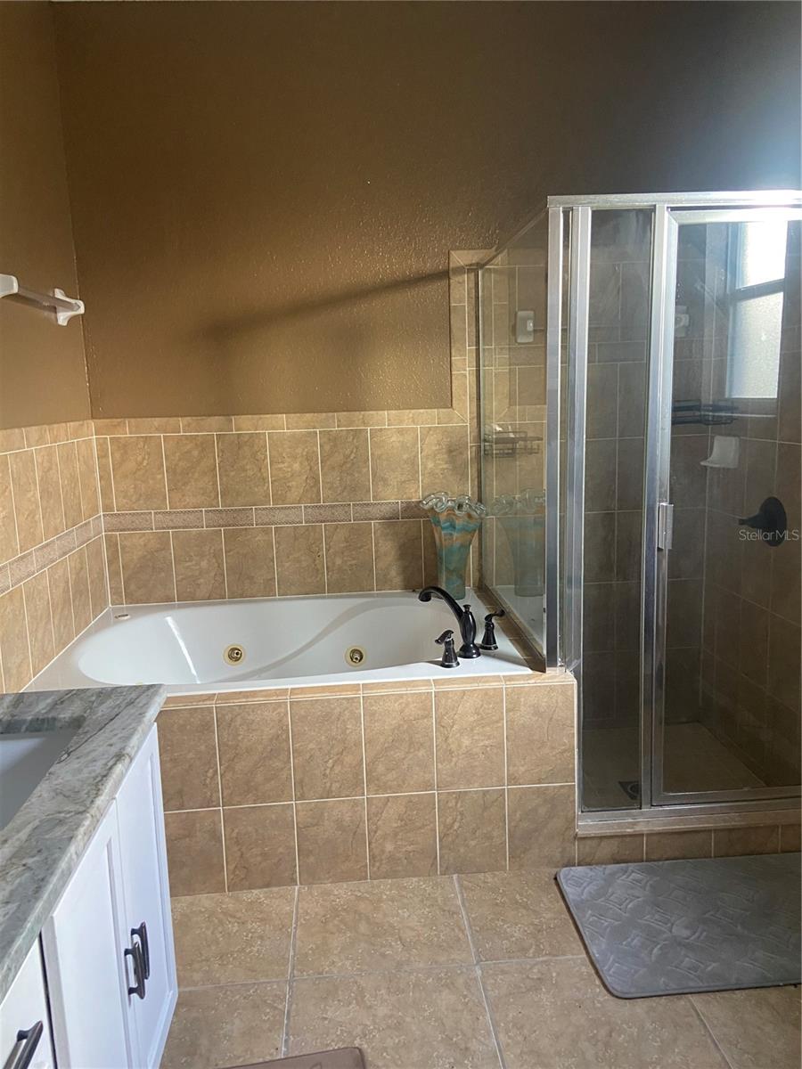 3077 BRENTON MANOR LOOP, WINTER HAVEN, FL, 33881