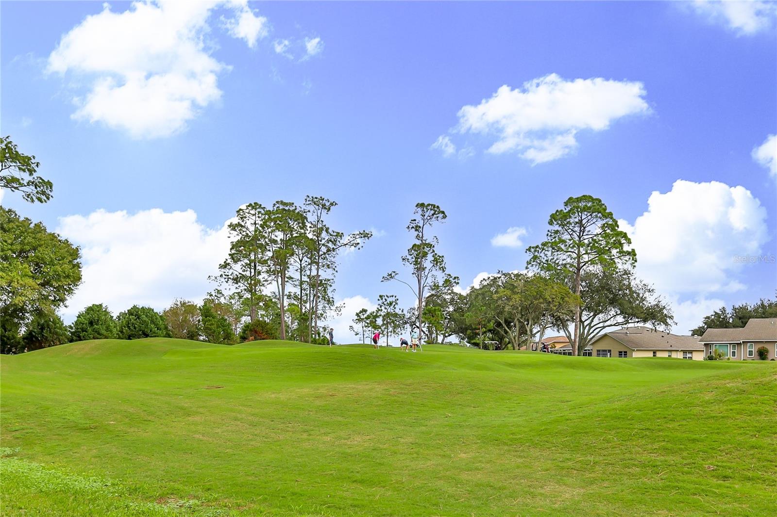 2370 GRANDFATHER MTN, SPRING HILL, FL, 34606
