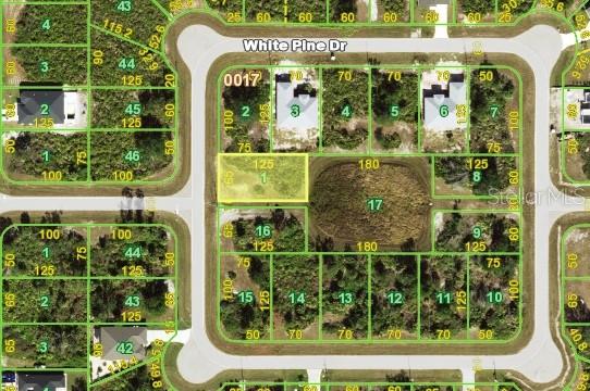 101 WHITE PINE DR, ROTONDA WEST, FL, 33947